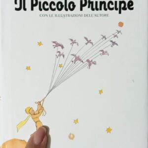 il piccolo principe di antoine de saint‑exupéry